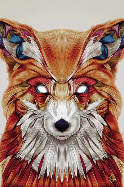 Foxes: Firefox by Giulio Rossi
