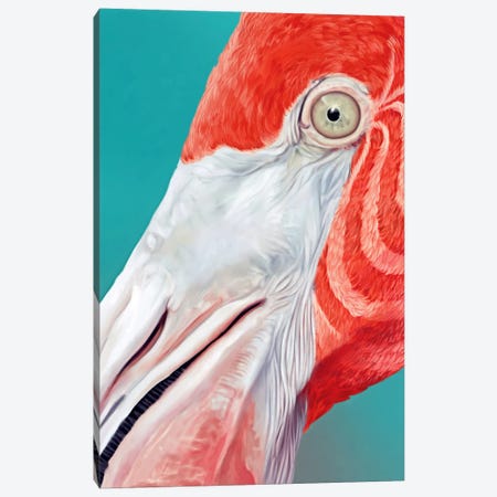 Flamingo Canvas Print #JRI59} by Giulio Rossi Canvas Art