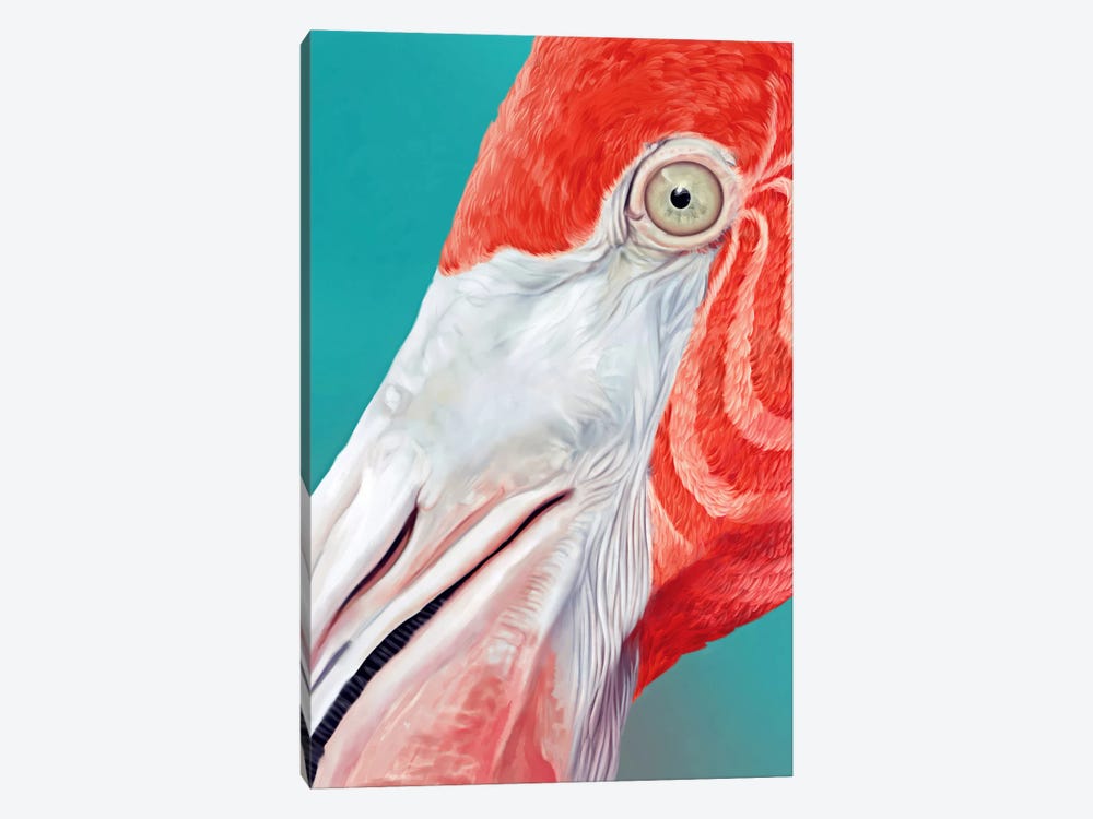 Flamingo by Giulio Rossi 1-piece Canvas Art Print