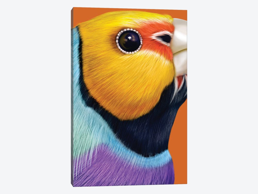 Gouldian Finch by Giulio Rossi 1-piece Art Print