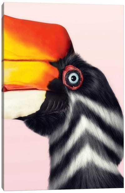 Rhinoceros Hornbill Canvas Art Print - Giulio Rossi