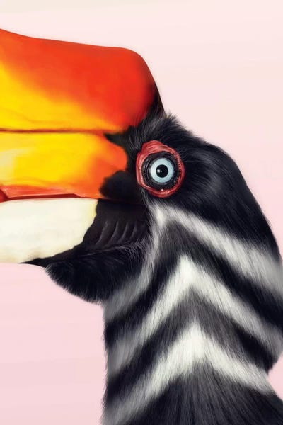 The Art Of The Feather: Rhinoceros Hornbill by Giulio Rossi