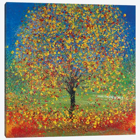Autumnal Bloom Canvas Print #JRJ15} by Jan Rogers Canvas Art