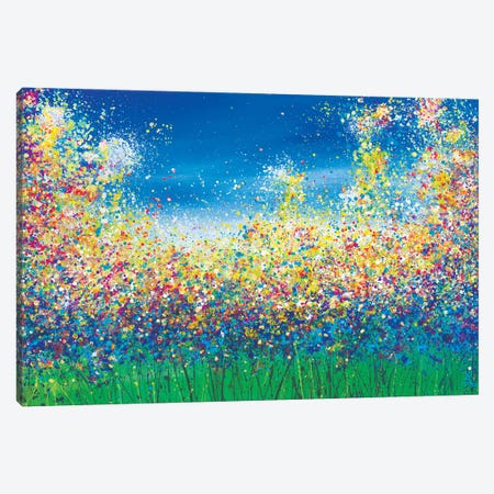 Sky Blue Flower Meadow Canvas Print #JRJ19} by Jan Rogers Canvas Art Print
