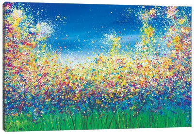 Sky Blue Flower Meadow Canvas Art Print - Jan Rogers