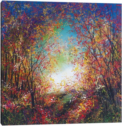 Autumnal Twilight Canvas Art Print - Jan Rogers