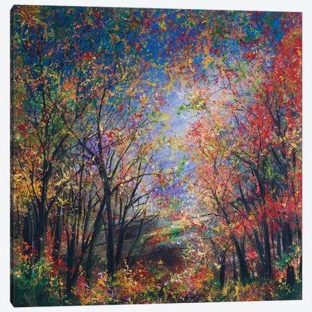 Autumnal Glen Canvas Print #JRJ23} by Jan Rogers Canvas Artwork