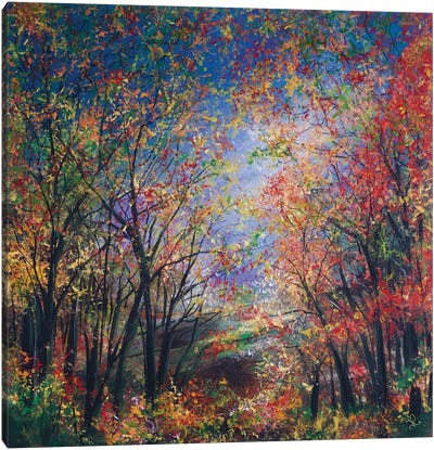 Autumnal Glen Canvas Art Print - Jan Rogers