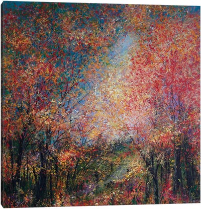 Autumnal Haze Canvas Art Print - Jan Rogers