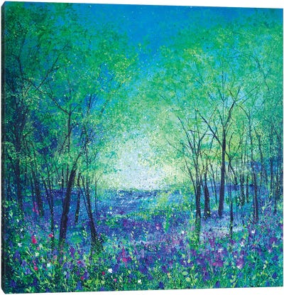 Bluebell Woodland Canvas Art Print - Jan Rogers