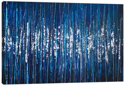Silver Blue Cascade Canvas Art Print - Jan Rogers