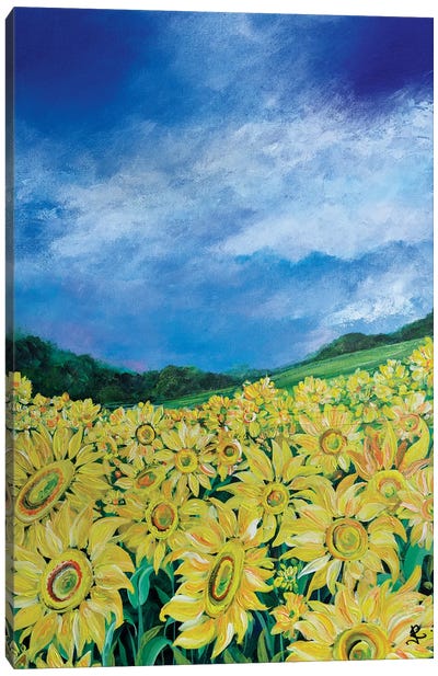 Sunflowers Canvas Art Print - Jan Rogers