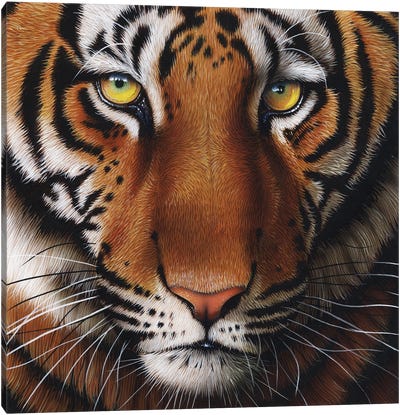 Tiger Canvas Art Print