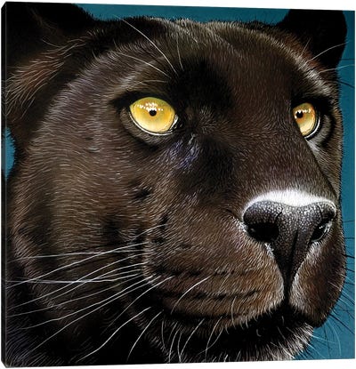 Black-Panther Canvas Art Print