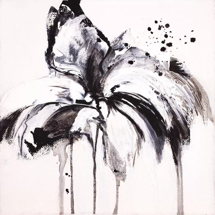 Moon Flower IX by Jude Remedios wall art