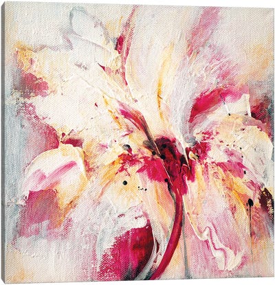 Cherry Blossom No. 5 Canvas Art Print - Jude Remedios