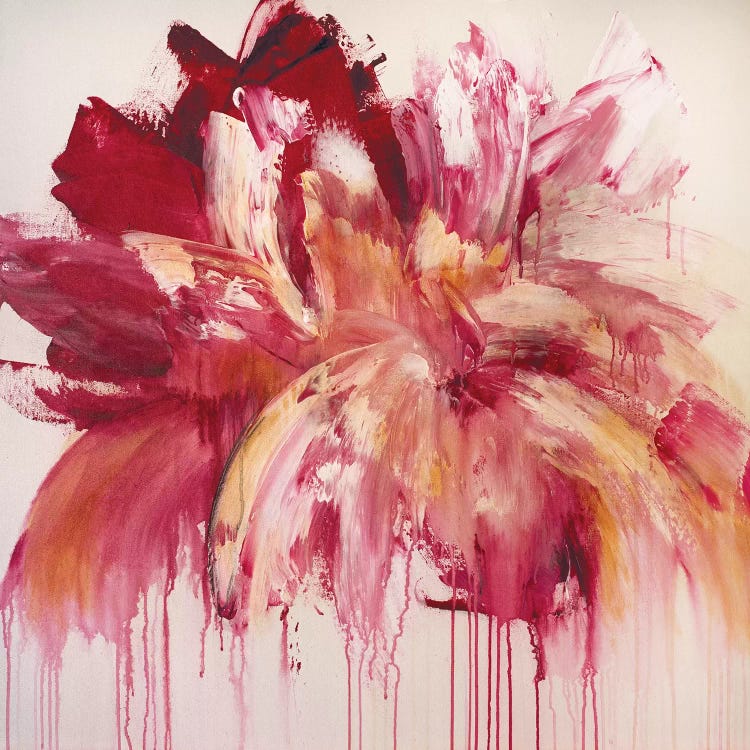 Pink Rhapsody by Jude Remedios wall art