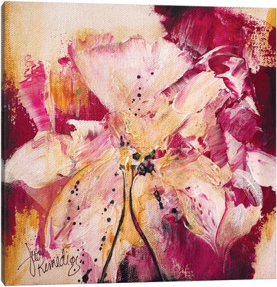 Cherry Blossom No.4 Canvas Art Print - Jude Remedios