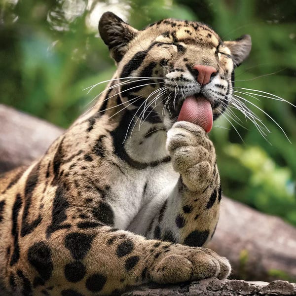 Jonathan Ross Photography: Keeping Clean by Jonathan Ross Photography