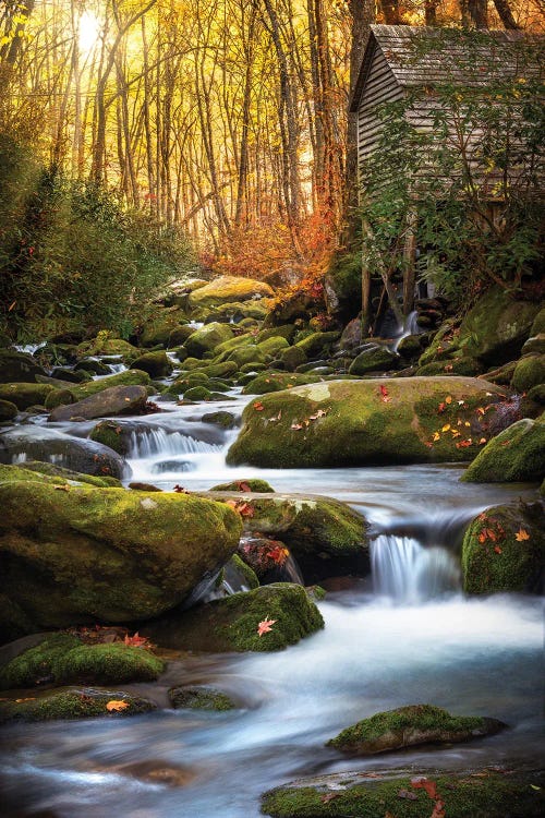 Morning Glow Near The Mill by Jonathan Ross Photography wall art