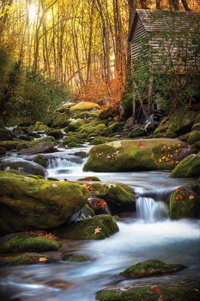 Morning Glow Near The Mill