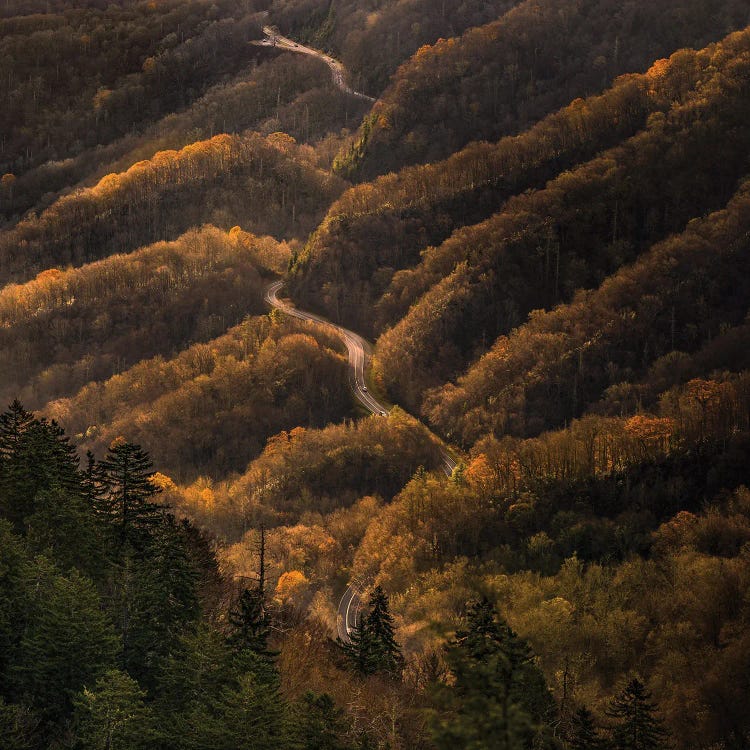 An Autumn Road Through The Mountains