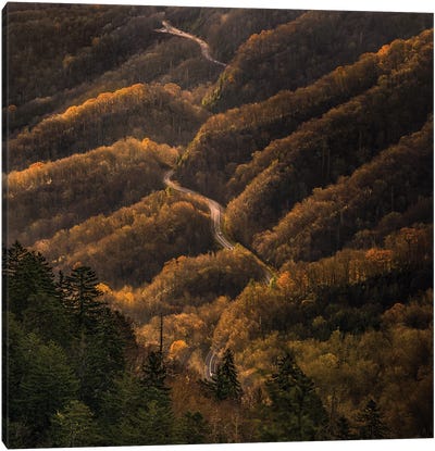 An Autumn Road Through The Mountains Canvas Art Print - Jonathan Ross Photography