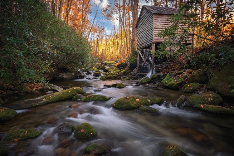 Autumn Glow Near The Mill