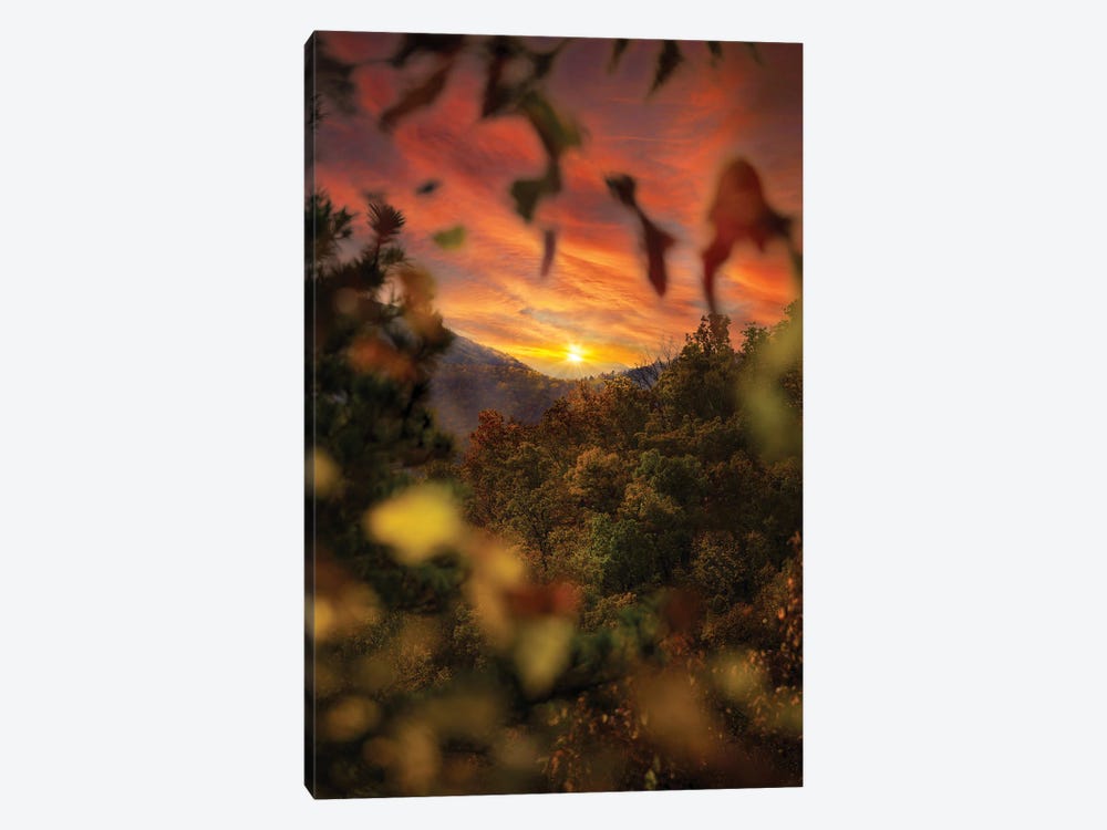 Sunset Through The Trees by Jonathan Ross Photography 1-piece Canvas Art