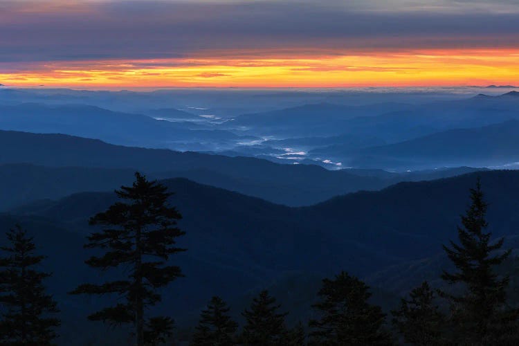 On Top Of The World by Jonathan Ross Photography wall art