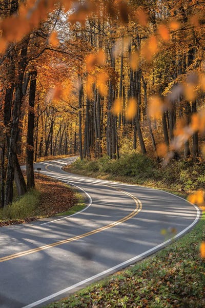 Road Trip Through The Smokies by Jonathan Ross Photography framed wall art
