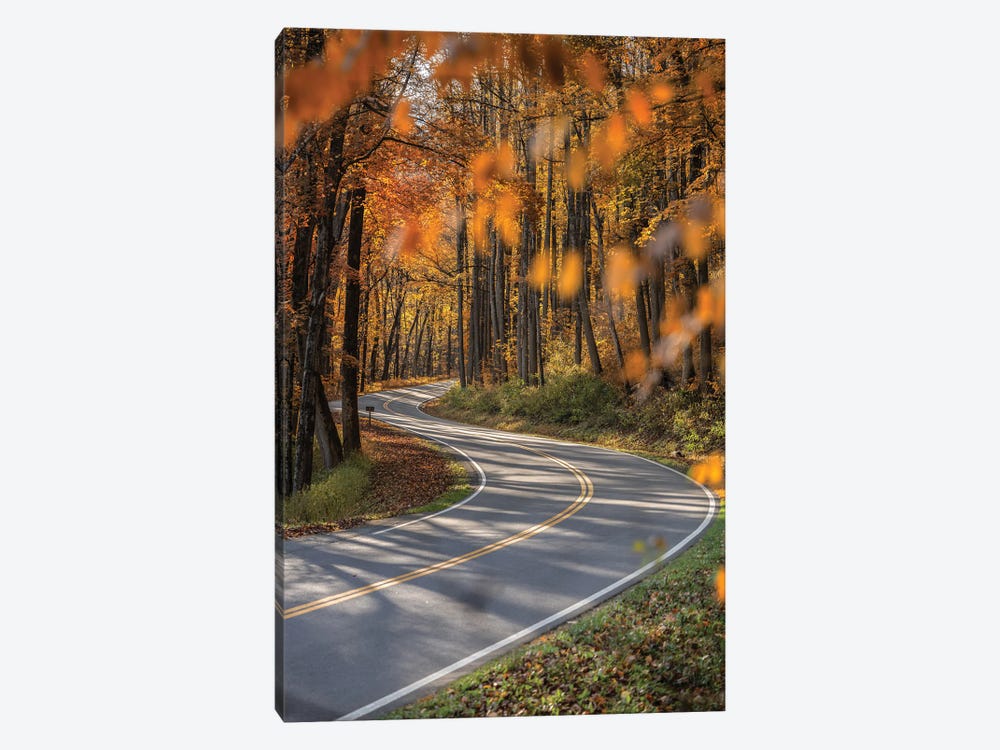 Road Trip Through The Smokies by Jonathan Ross Photography 1-piece Canvas Art Print