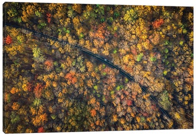 Road Through A Dense Autumn Forest Canvas Art Print - Jonathan Ross Photography