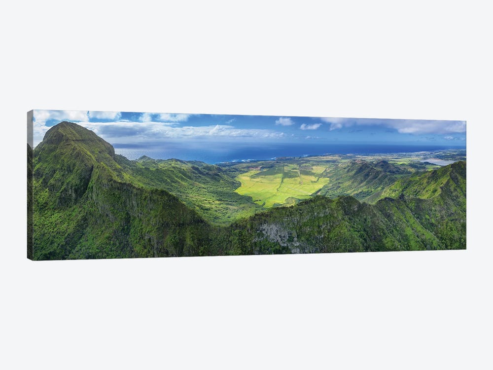 Flying Over Hawaii by Jonathan Ross Photography 1-piece Art Print