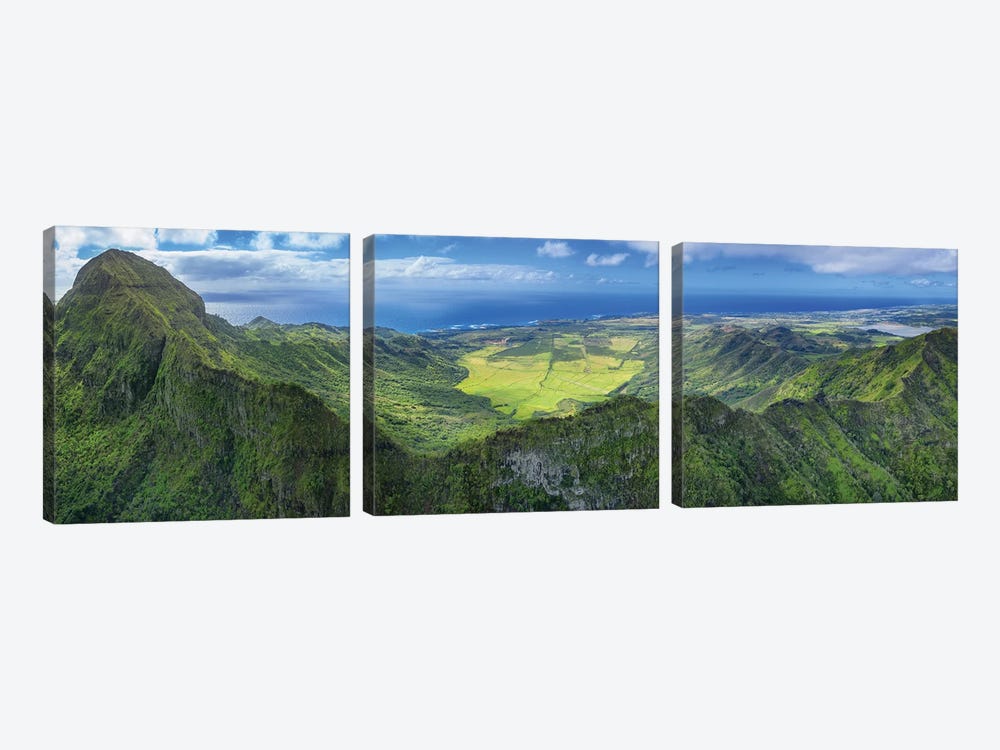 Flying Over Hawaii by Jonathan Ross Photography 3-piece Art Print