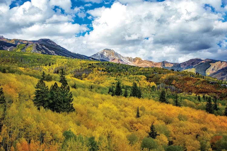 Colorado Colors by Jonathan Ross Photography wall art