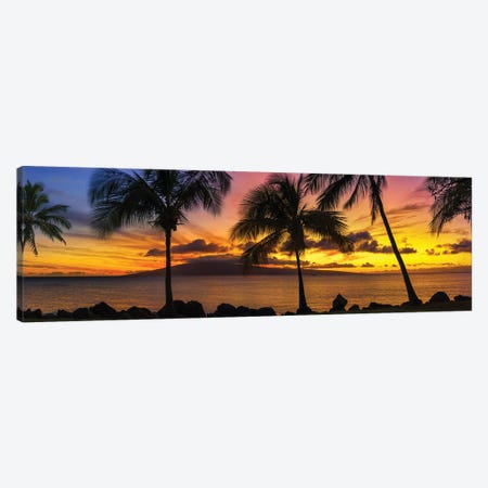 Palm Tree Sunset Canvas Print #JRP153} by Jonathan Ross Photography Canvas Artwork