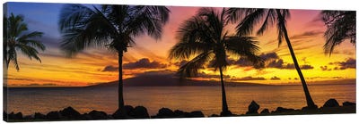 Palm Tree Sunset Canvas Art Print - Beach Sunrise & Sunset Art