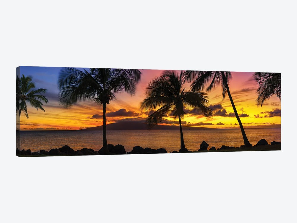 Palm Tree Sunset by Jonathan Ross Photography 1-piece Canvas Artwork