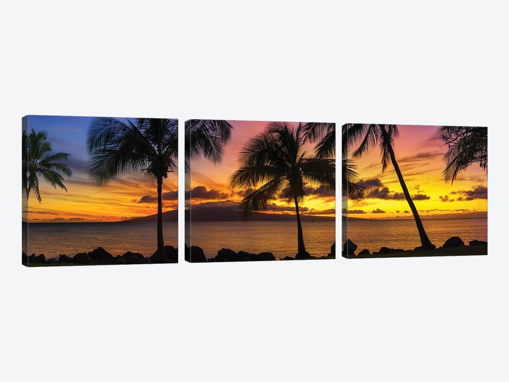 Palm Tree Sunset by Jonathan Ross Photography 3-piece Canvas Art
