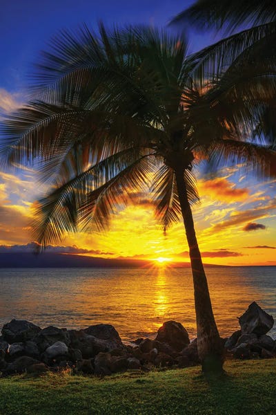 The Sun Setting Over Maui by Jonathan Ross Photography framed wall art
