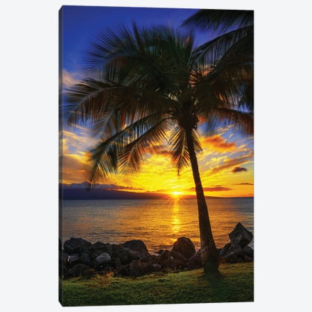The Sun Setting Over Maui Canvas Print #JRP156} by Jonathan Ross Photography Canvas Art Print