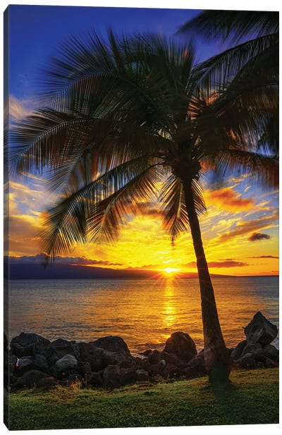The Sun Setting Over Maui Canvas Art Print - Jonathan Ross Photography