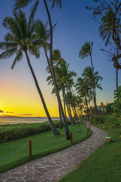A Stroll In Maui by Jonathan Ross Photography framed wall art