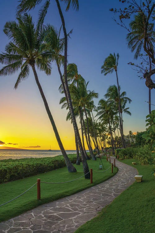 A Stroll In Maui by Jonathan Ross Photography wall art