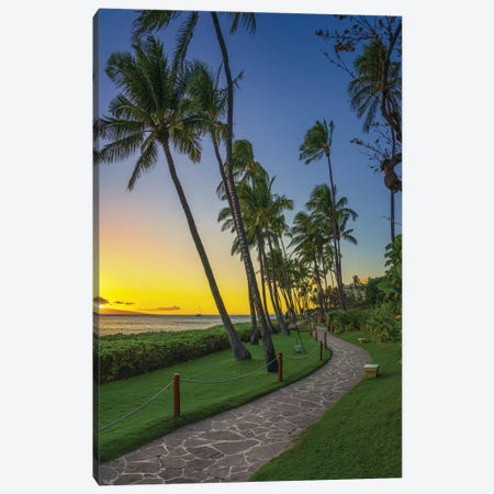 A Stroll In Maui Canvas Print #JRP159} by Jonathan Ross Photography Canvas Art