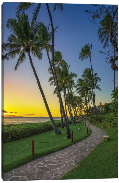 A Stroll In Maui Canvas Art Print - Jonathan Ross Photography