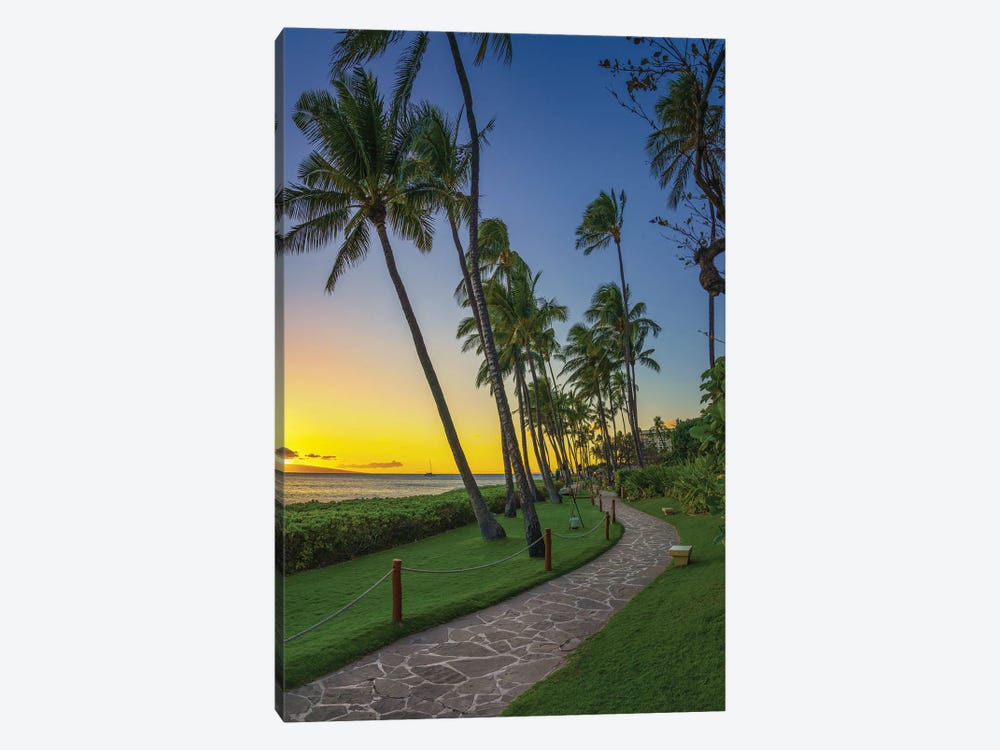 A Stroll In Maui by Jonathan Ross Photography 1-piece Canvas Wall Art