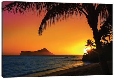 Sunset In Oahu Canvas Art Print - Jonathan Ross Photography