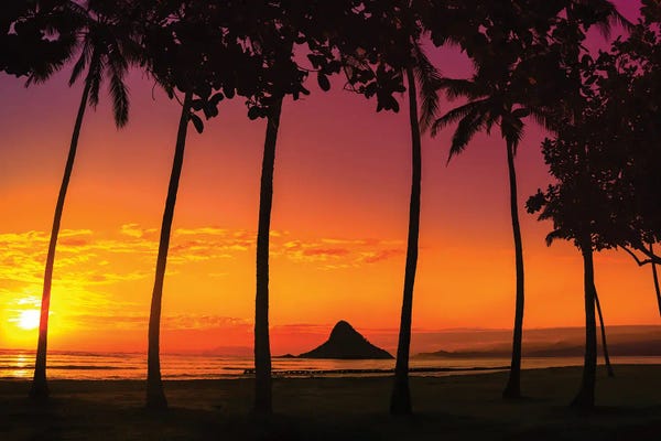 Oahu: Chinaman's Hat Sunset In Oahu by Jonathan Ross Photography